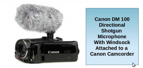 Canon DM-100 Camera-Mount Directional/Stereo Microphone for Vixia Camcorders